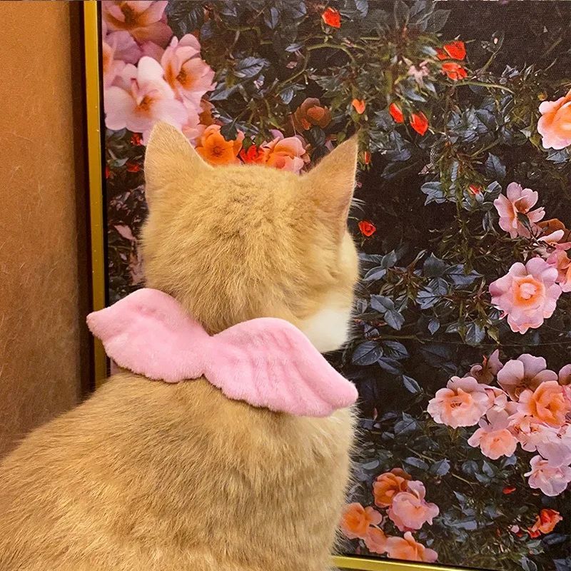 Cat Angel Wing collar(White and Pink)