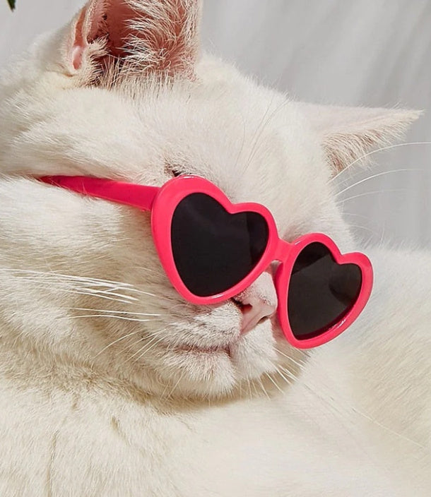 Doll Sunglasses Cat Toy Accessories