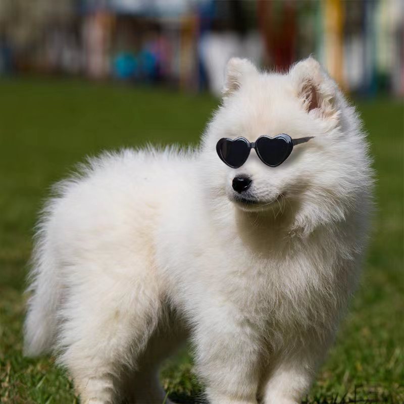 Doll Sunglasses Cat Toy Accessories