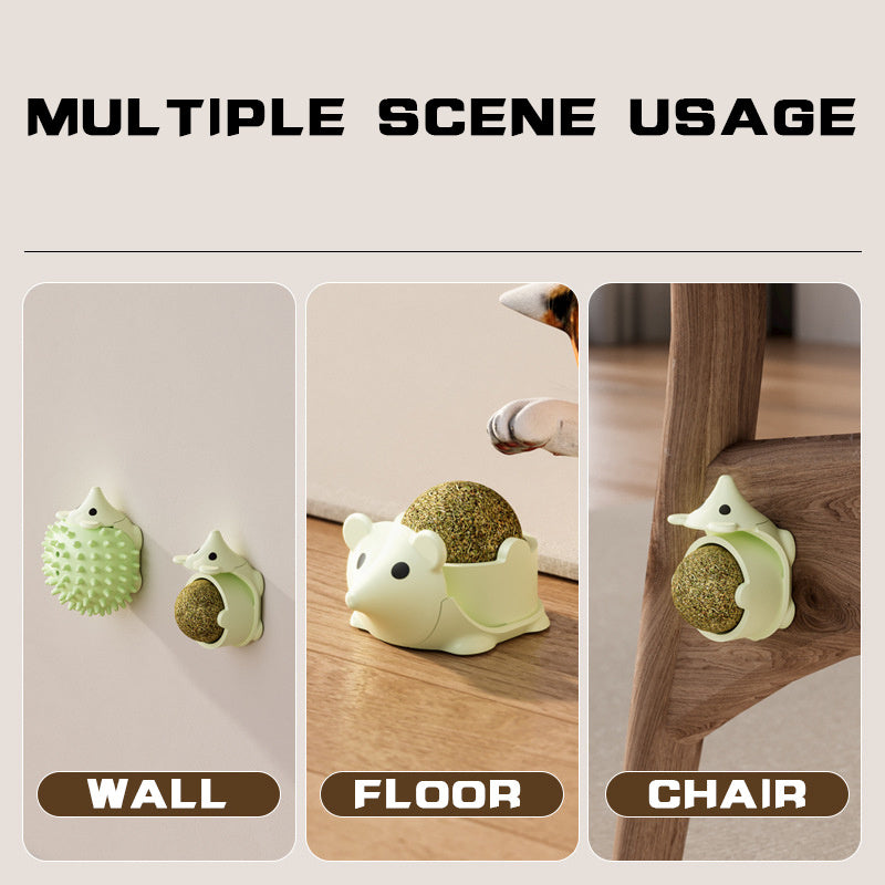 cat grooming wall and floor