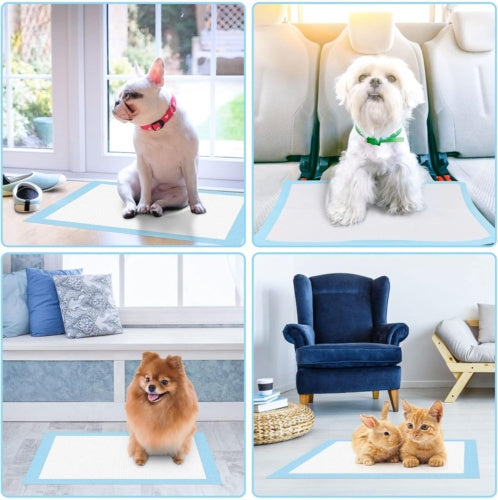 Dog and Puppy training pads leakproof(easy to use)