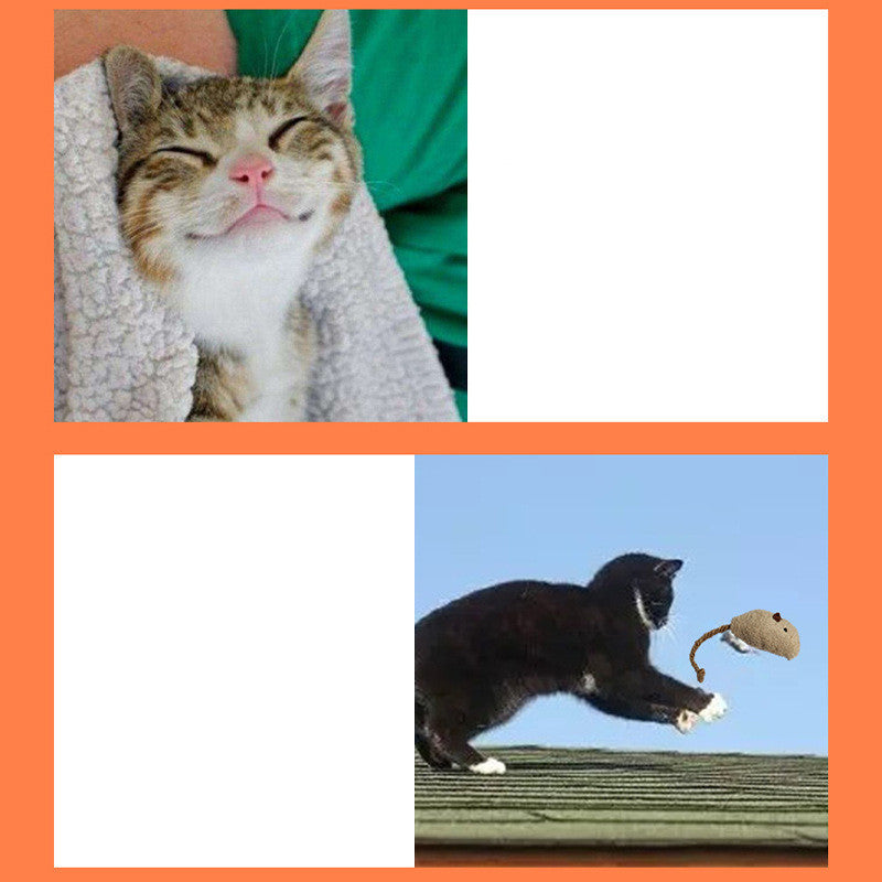 Funny Cat Toy mouse