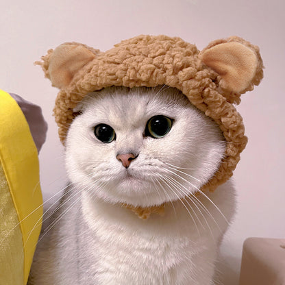 cute cat hat