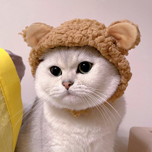 cute cat hat