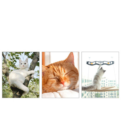 Window mounted pet bed