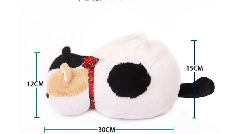 cat tissue box