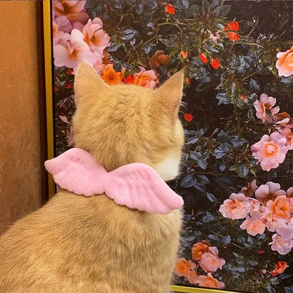 Cat Angel Wing collar(White and Pink)