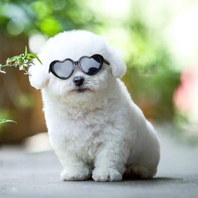 Doll Sunglasses Cat Toy Accessories