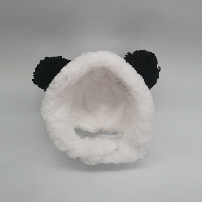 cute cat hat