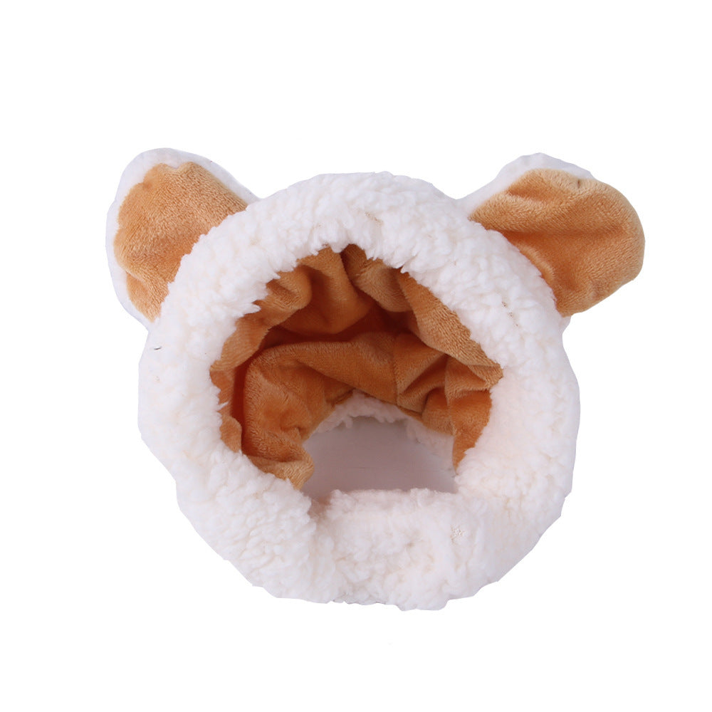 cute cat hat