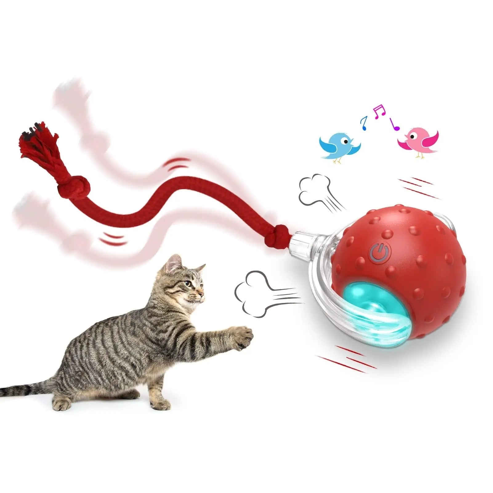 Interactive Cat Toy Ball! Rolling Balls With Bird Chirping Motion