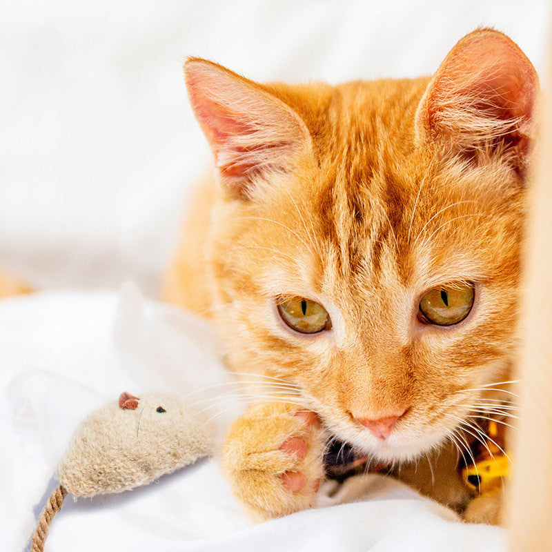 Funny Cat Toy mouse