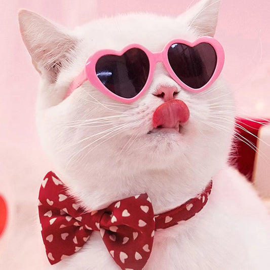 Doll Sunglasses Cat Toy Accessories